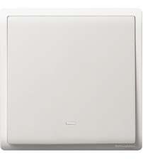 16AX 250V 1G 1W SW w Fluo Loc, WE